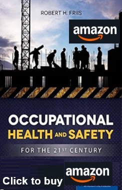 Occupational Health and Safety for the 21st Century: . 1st Edition