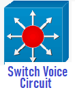 Switch Voice Circuit